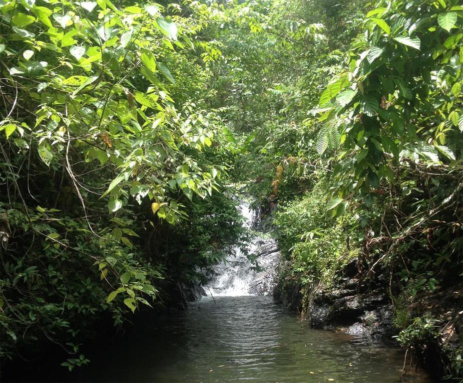 Love And Peace Deep Jungle River Paradise Resort Puerto Princesa Exterior photo